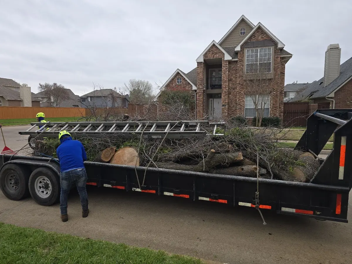Expert Lot Clearing with proper safety equipment in Milo
